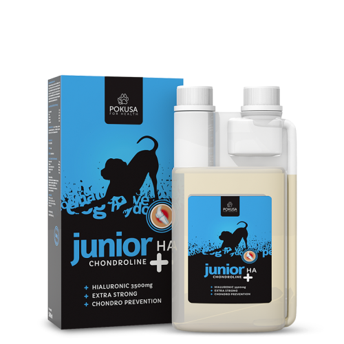 suplement-na-stawy-chondroline-junior-ha.jpg