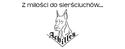 Shoper demo brak logo - strona główna