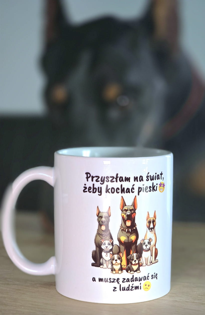 Stylowość w każdym szwie